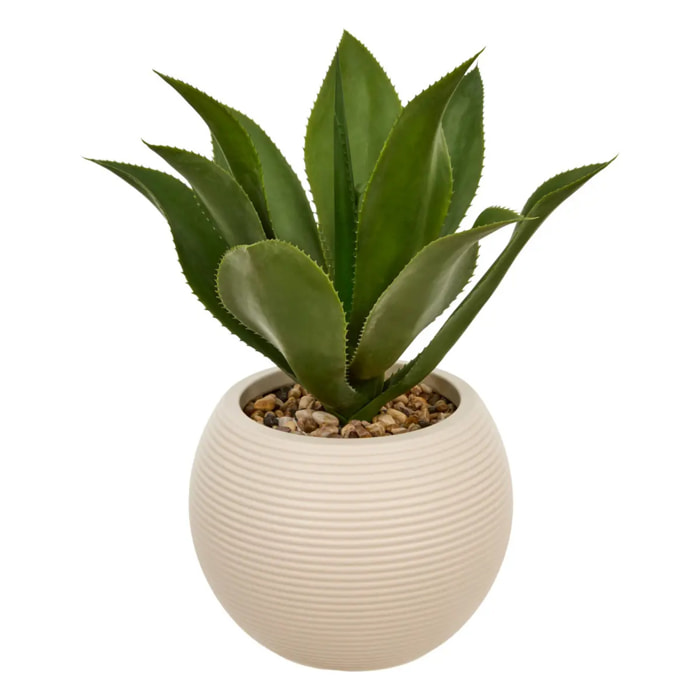 AGAVE POT PL BLC POSA H51