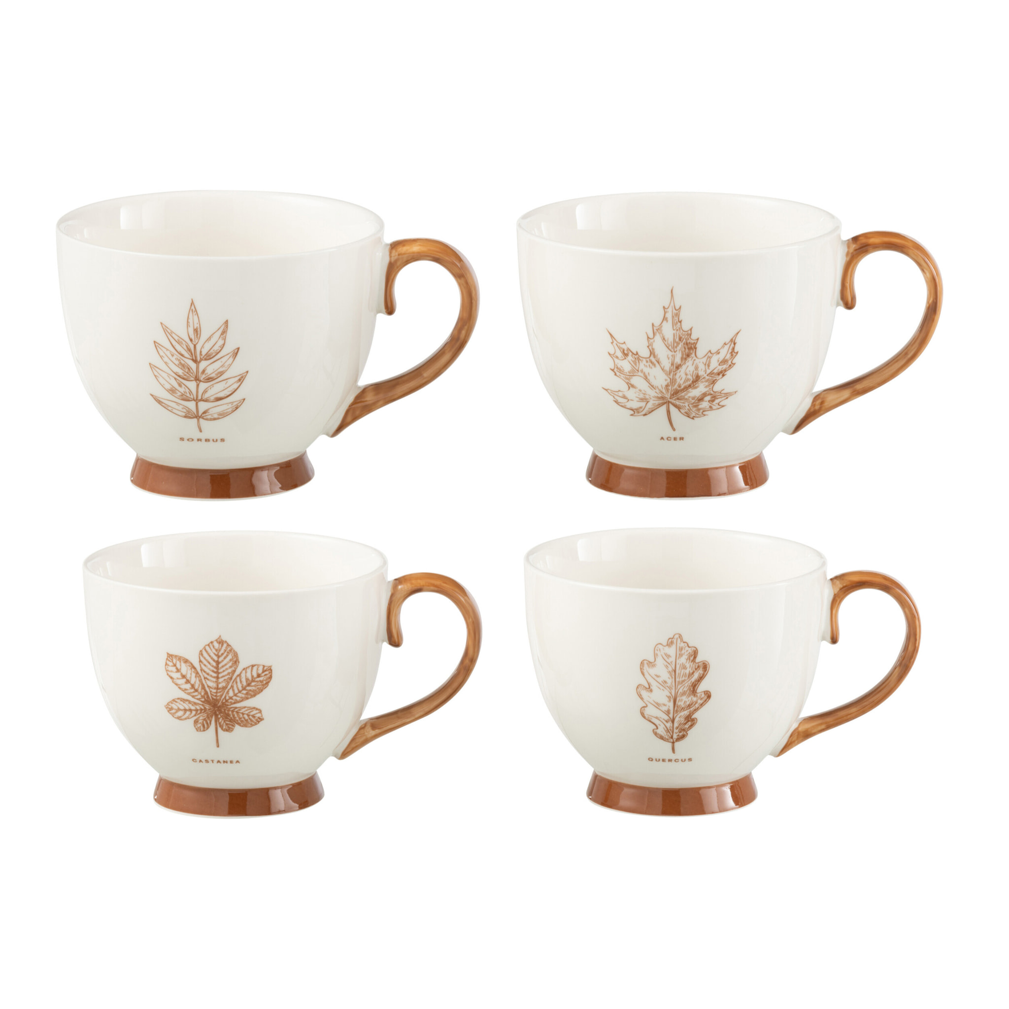 J-Line tasse Feuille - céramique - marron - boite cadeau de 2 - 2 pcs