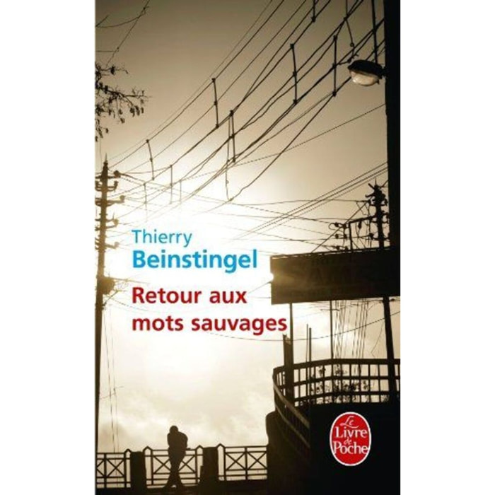 Beinstingel, Thierry | Retour aux mots sauvages | Livre d'occasion