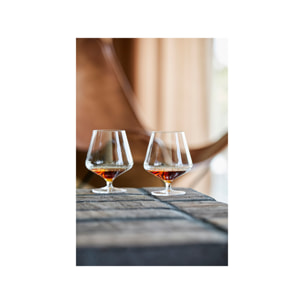 Set de 2 verres à cognac Rocks  45 cl