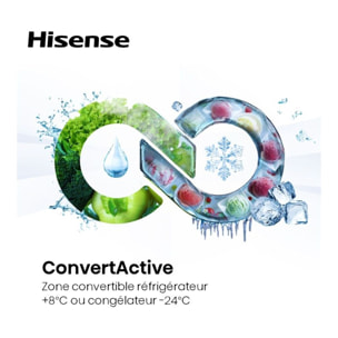 Réfrigérateur combiné encastrable HISENSE RB5B250SSWD1