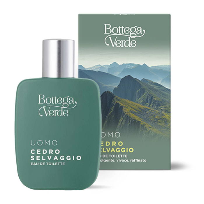 UOMO - Cedro selvaggio - Eau de toilette