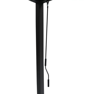 Pergola autoportante Evonis 6x3m gris graphite