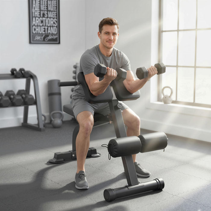 Banc de musculation pliable réglable - banc à abdominaux et lombaires - noir