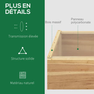 Mini serre de jardin serre pour semis dim. 100L x 50l x 36H cm toit 2 pans ouvrables séparement panneaux de polycarbonate bois sapin pré-huilé