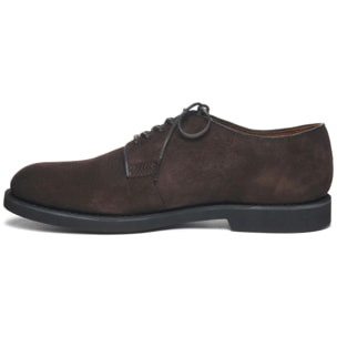 Scarpe allacciate Sebago Uomo Marrone WINTHROP SUEDE