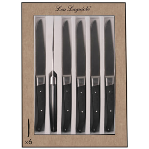 Pro - Coffret 6 couteaux steak lame dentée