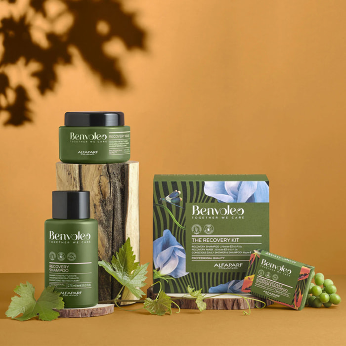 ALFAPARF MILANO Set Benvoleo Recovery Shampoo 275ml + Mask 250ml + Shower & Shampoo 80gr