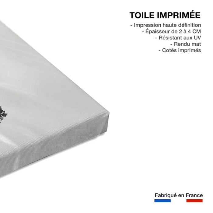 Tableau paysage La décrue Toile imprimée