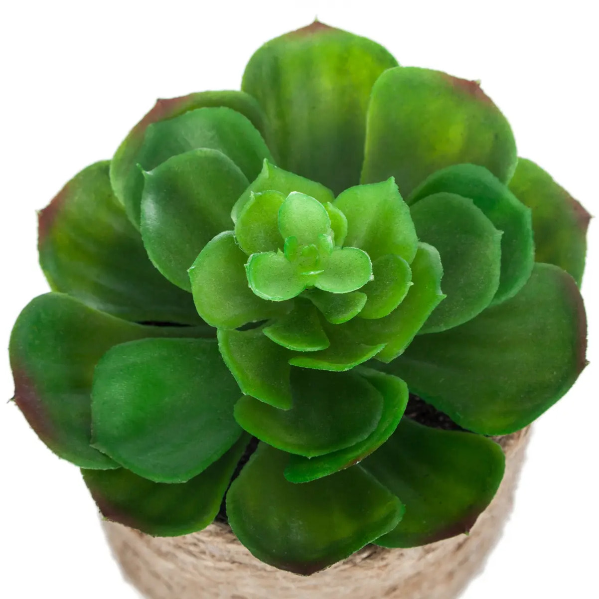 Plante artificielle H16cm