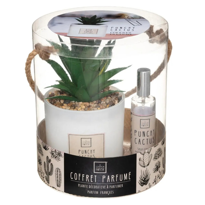 Coffret senteur "Cactus"