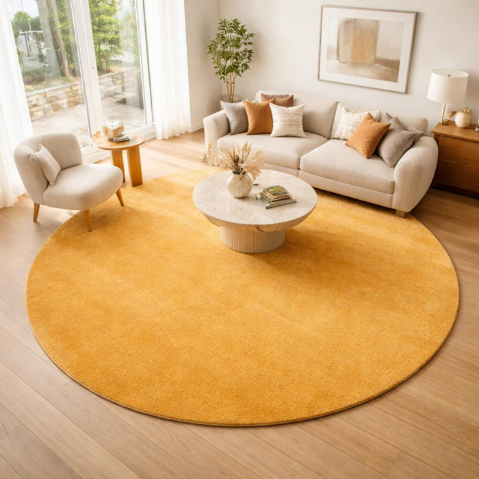 Tapis salon MITA, soft et soyeux, tapis uni à l'aspect Shaggy
