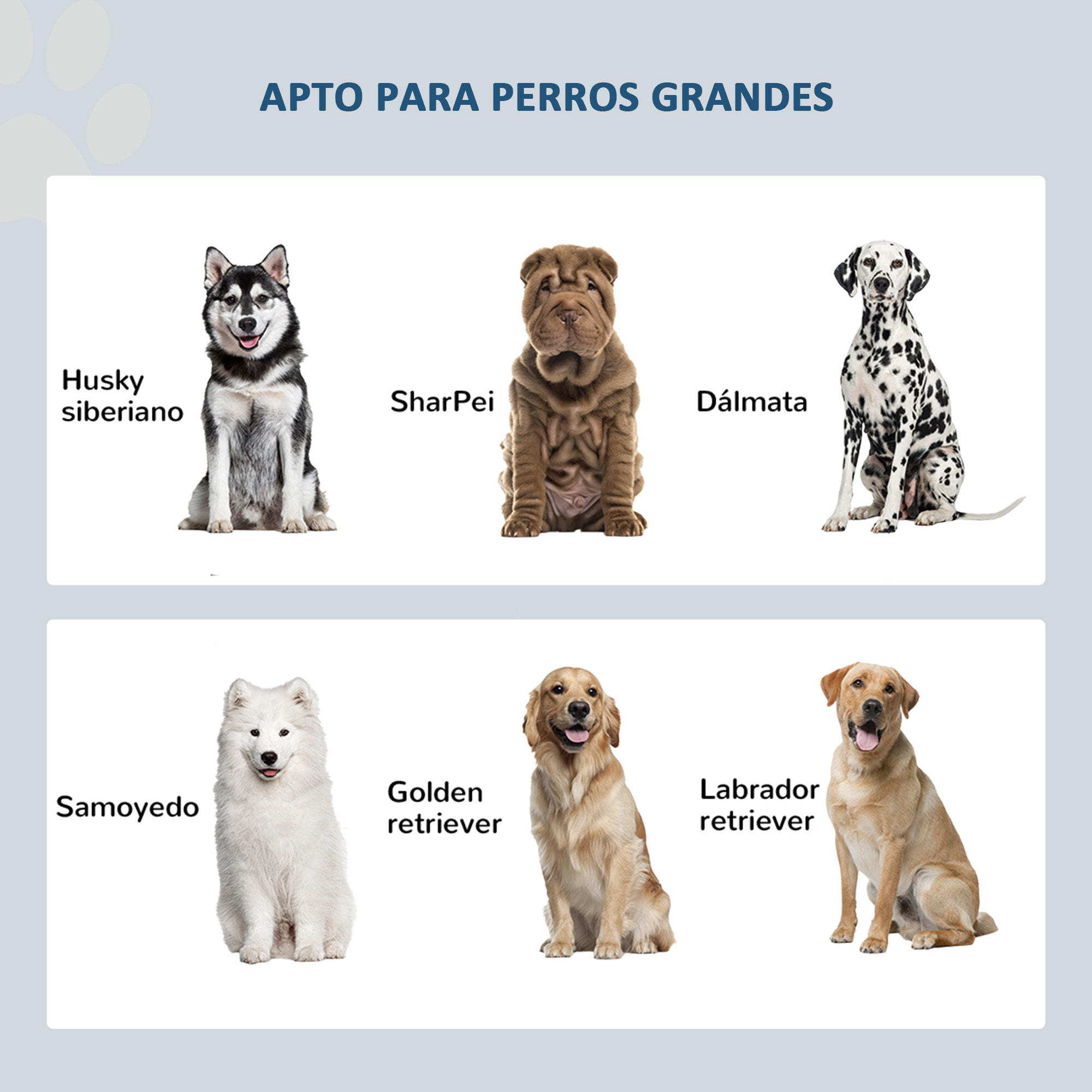 Comedero Perro Elevado con 2 Cuencos de Acero Inoxidable 2x2000 ml Comedero Elevado para Perros Grandes con 2 Puertas y Almacenamiento Oculto Gris