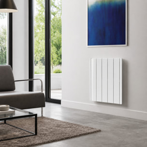 Radiateur inertie fonte 1000w
