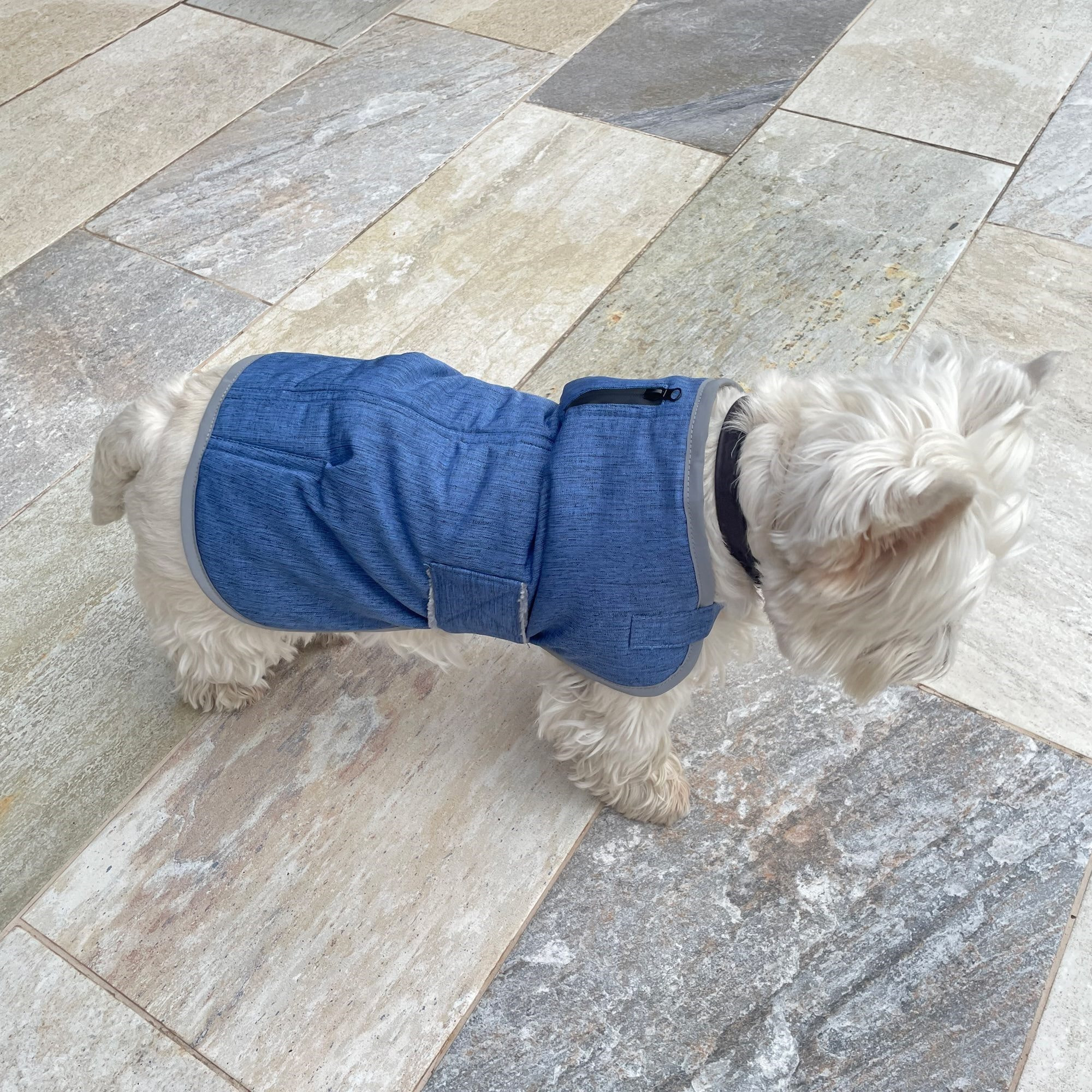 Abrigo para mascotas hearts&homies azul