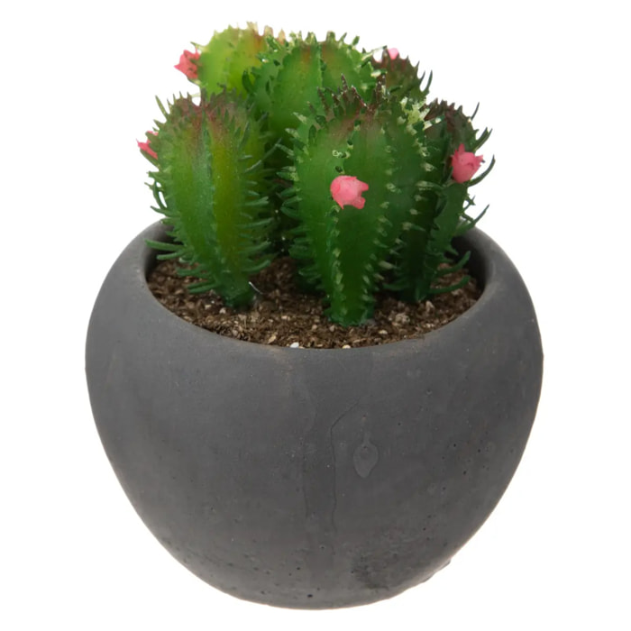 Cactus artificiel - pot en ciment - D6 - 5 cm