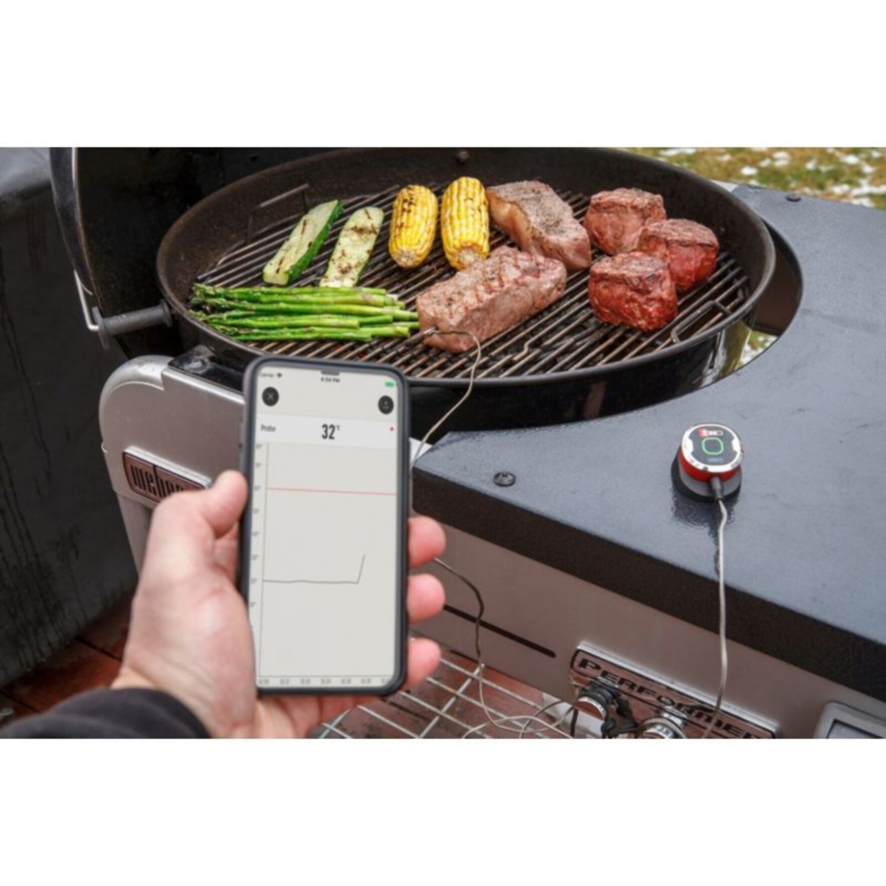 Thermomètre de cuisson WEBER IGrill mini