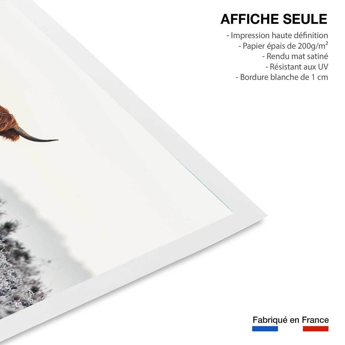 Poster highland sous la neige Affiche seule