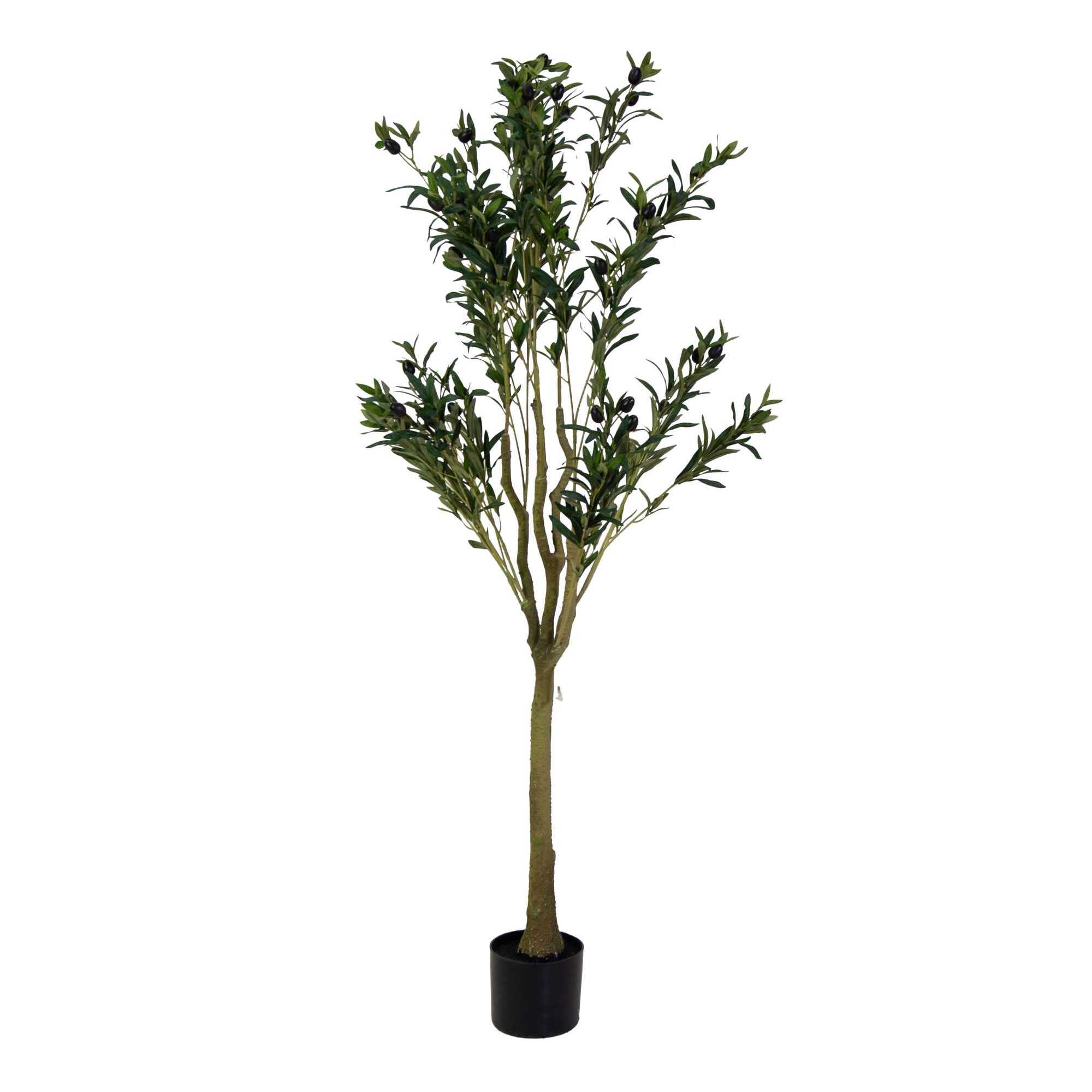 Pianta artificiale Vacchetti in plastica ulivo cm h150