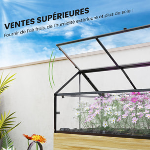 Mini carré potager bois serre acier polycarbonate sur pieds