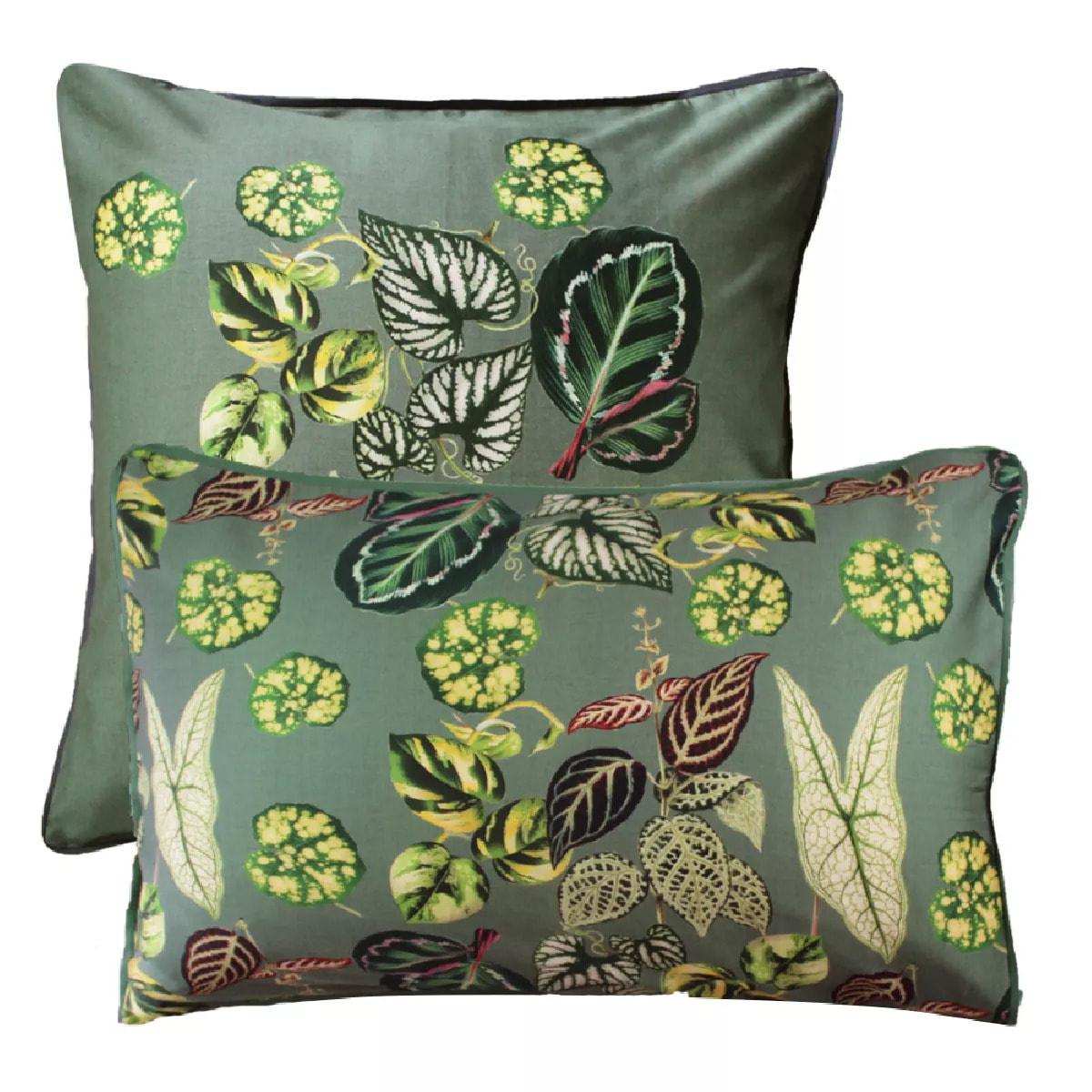 Taie d'oreiller Jardin d'hiver sauge