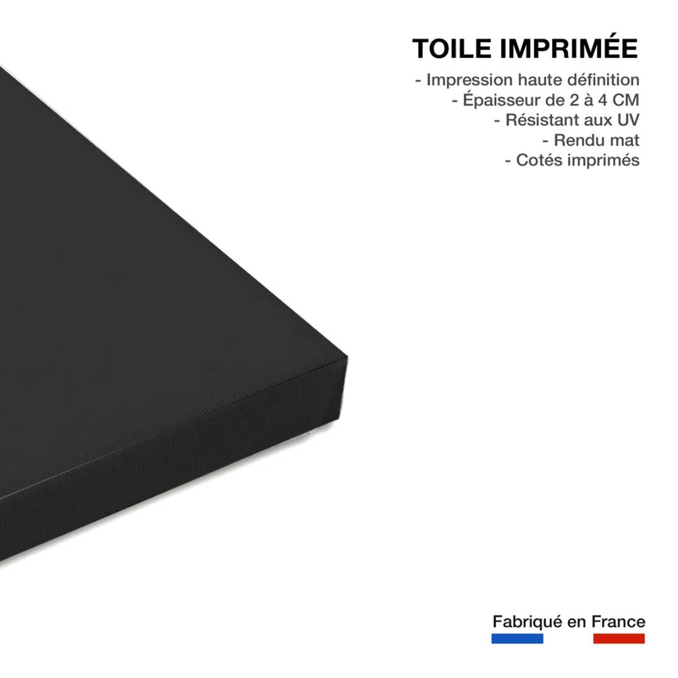 Tableau coquelicot enlacés  Toile imprimée