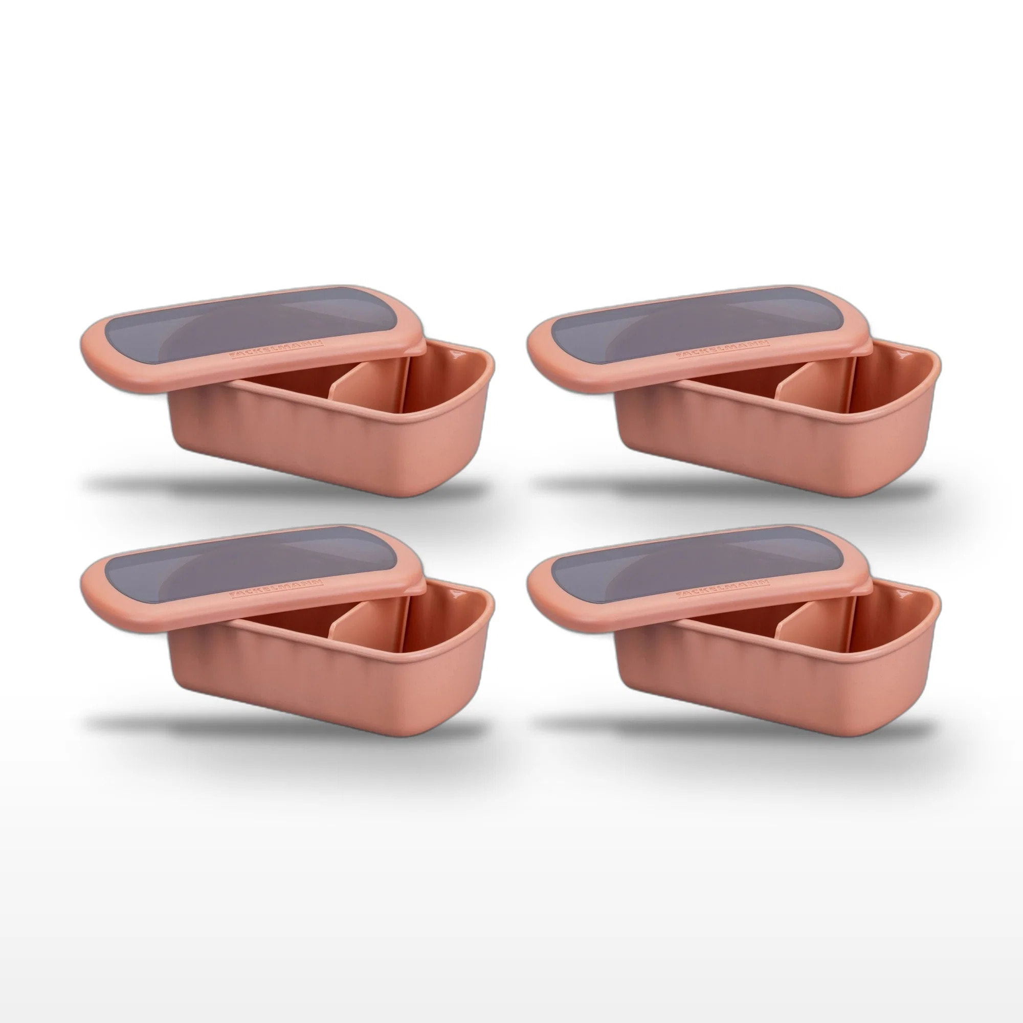 Lot de 4 Lunchbox Terracotta à compartiment réglable sans BPA Fackelmann Storage