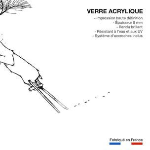 Tableau ours landais Tableau plexiglas