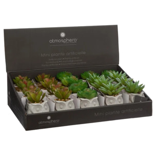 Succulente artificielle - pot en ciment - H8 cm