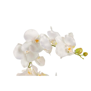 Orquidea Poliester Blanca Con Maceta 34x34x71 Cm