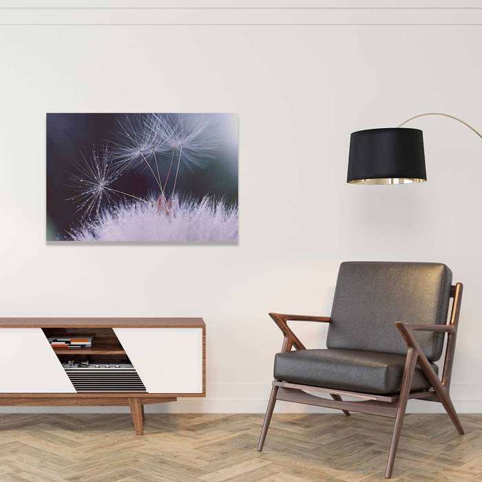 Tableau fleurs dandelion seeds Toile imprimée