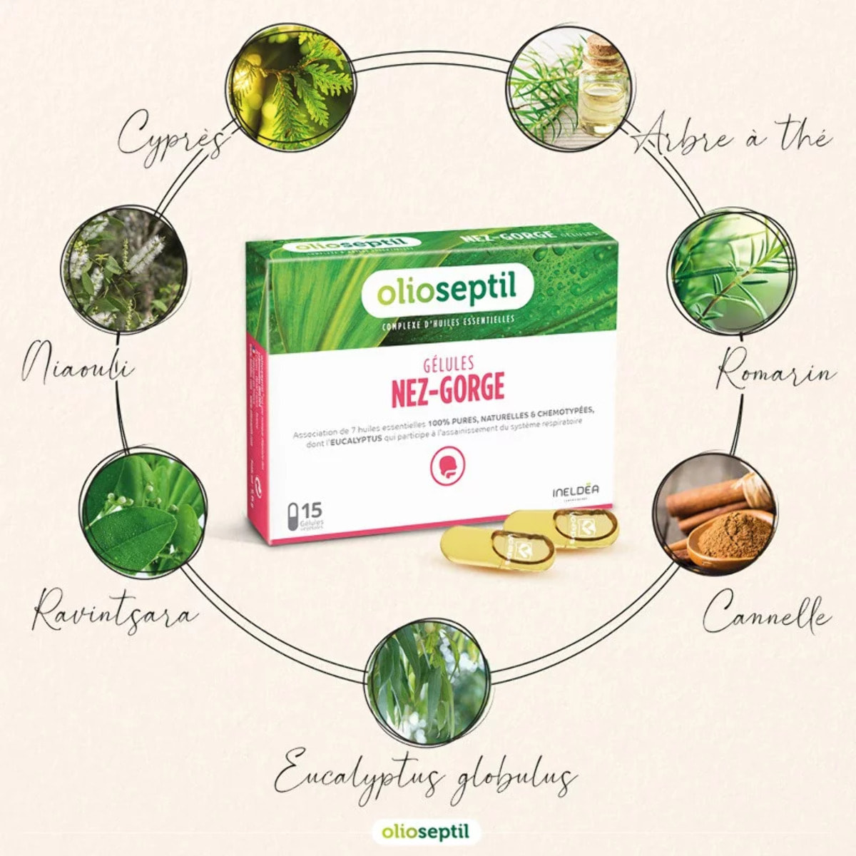 OLIOSEPTIL - Nez-Gorge - Complexe de 7 Huiles Essentielles Pures et Chémotypées - Assainit le Système Respiratoire & Apaise la Gorge - Dès 15 Ans - 15 Gélules