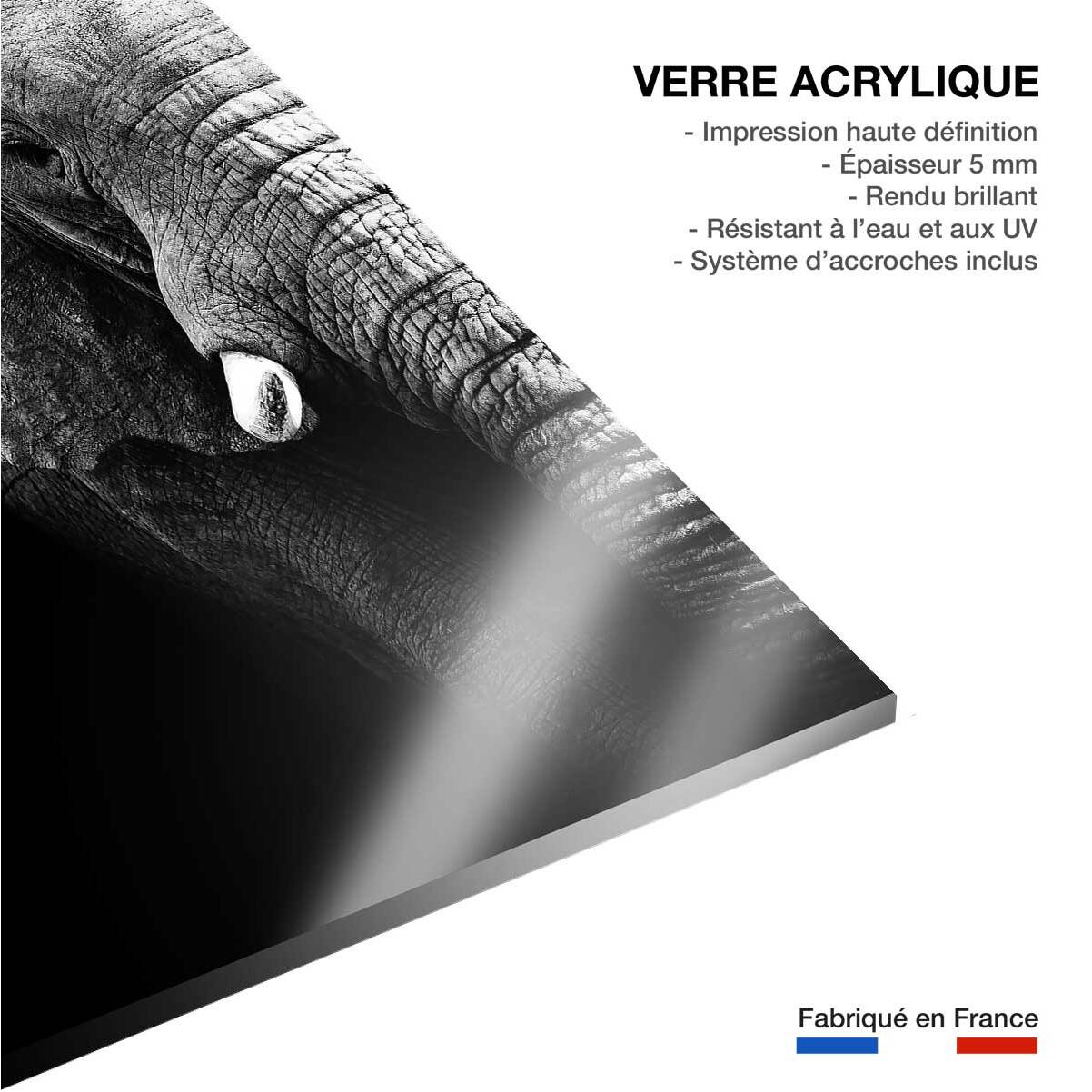 Tableau photo éléphant Tableau plexiglas