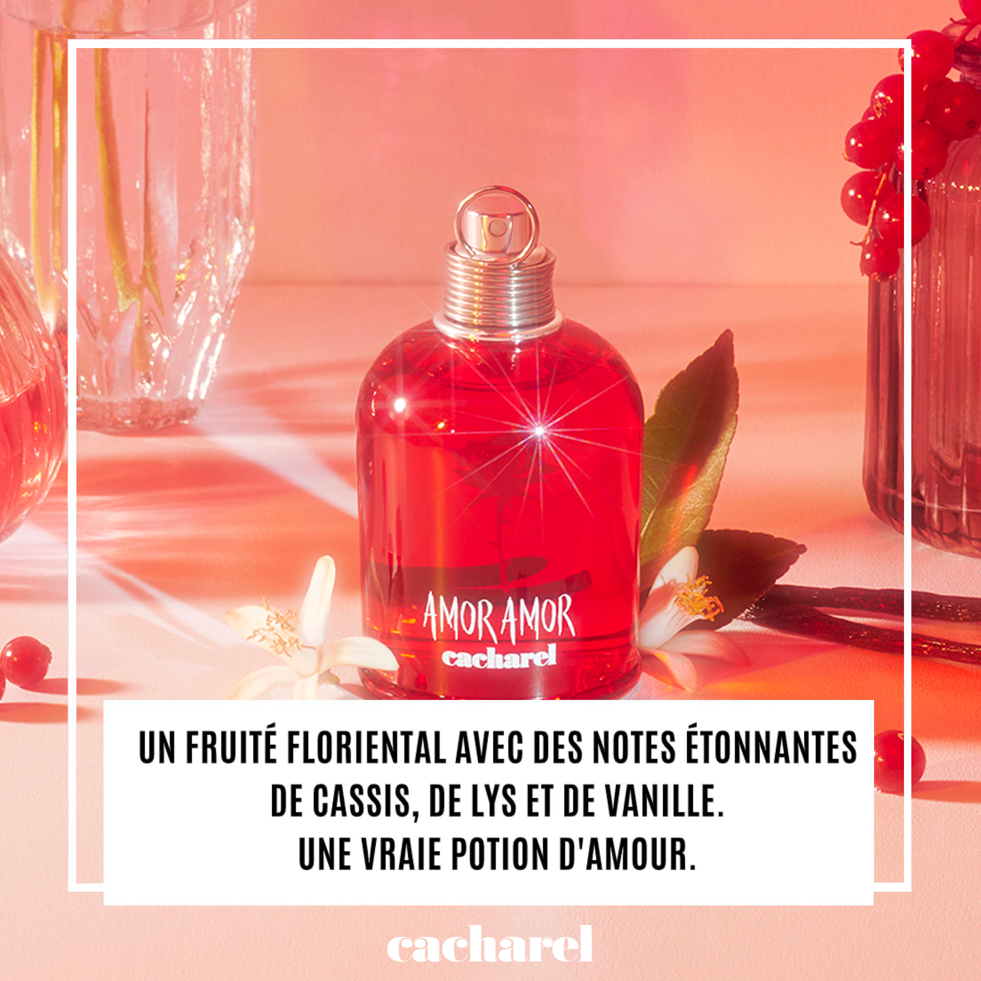 Amor Amor - Eau de Toilette 50 ml