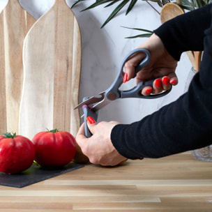 Ciseaux Avec Fourreau Aiguiseur