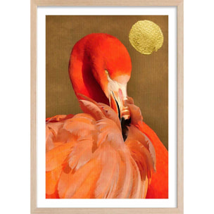 Affiche animaux flamingo et soleil d'or Affiche + cadre en bois - Chêne