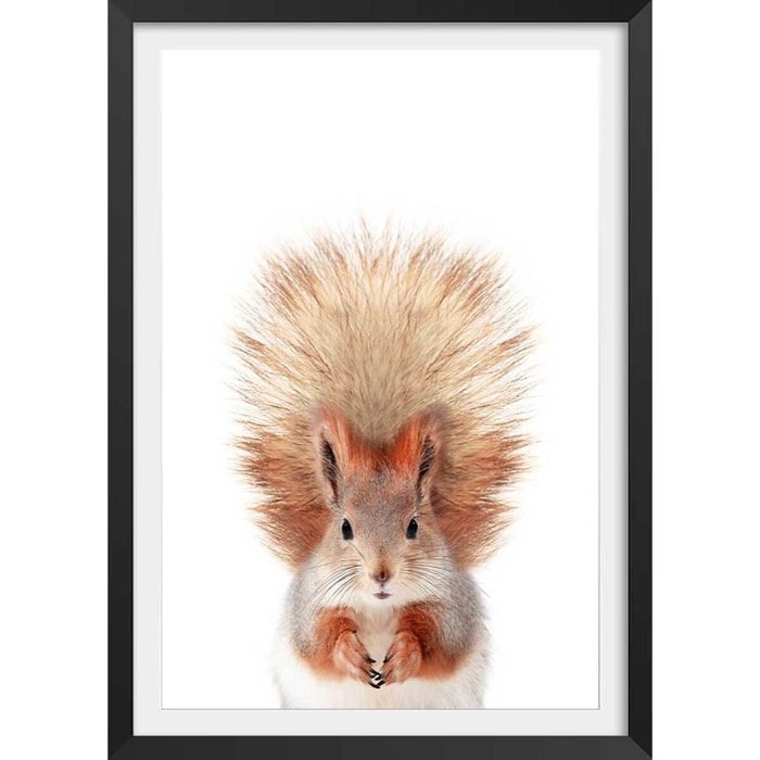 Affiche enfant bébé ecureuil  Affiche + cadre en bois - Noir