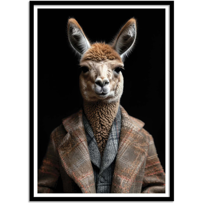 Affiche - Llama Wild Suits - Philippe Hugonnard