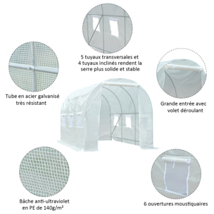 Serre de jardin tunnel surface sol 7 m² 3,5L x 2l x 2H m châssis tubulaire renforcé 18 mm 6 fenêtres blanc