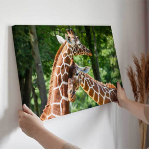 Tableau girafes complices en forêt Toile imprimée