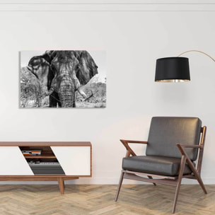 Tableau éléphant d'afrique Tableau alu Dibond