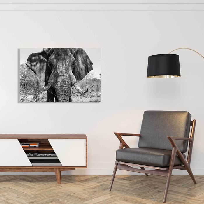 Tableau éléphant d'afrique Tableau alu Dibond