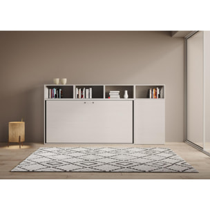 Armoire lit escamotable horizontal 1 couchage 85 Kando composition A Frêne Blanc