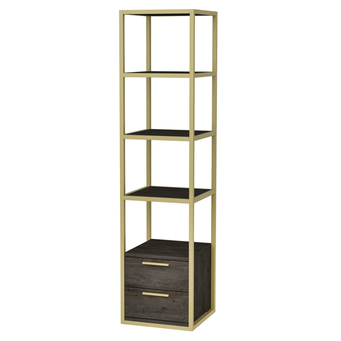 Librería, 100% tablero de aglomerado rechapado en melamina, color oro_x000D_
oscuro gris