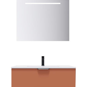Ensemble vasque intégrée 1 tiroir + miroir - SOHO