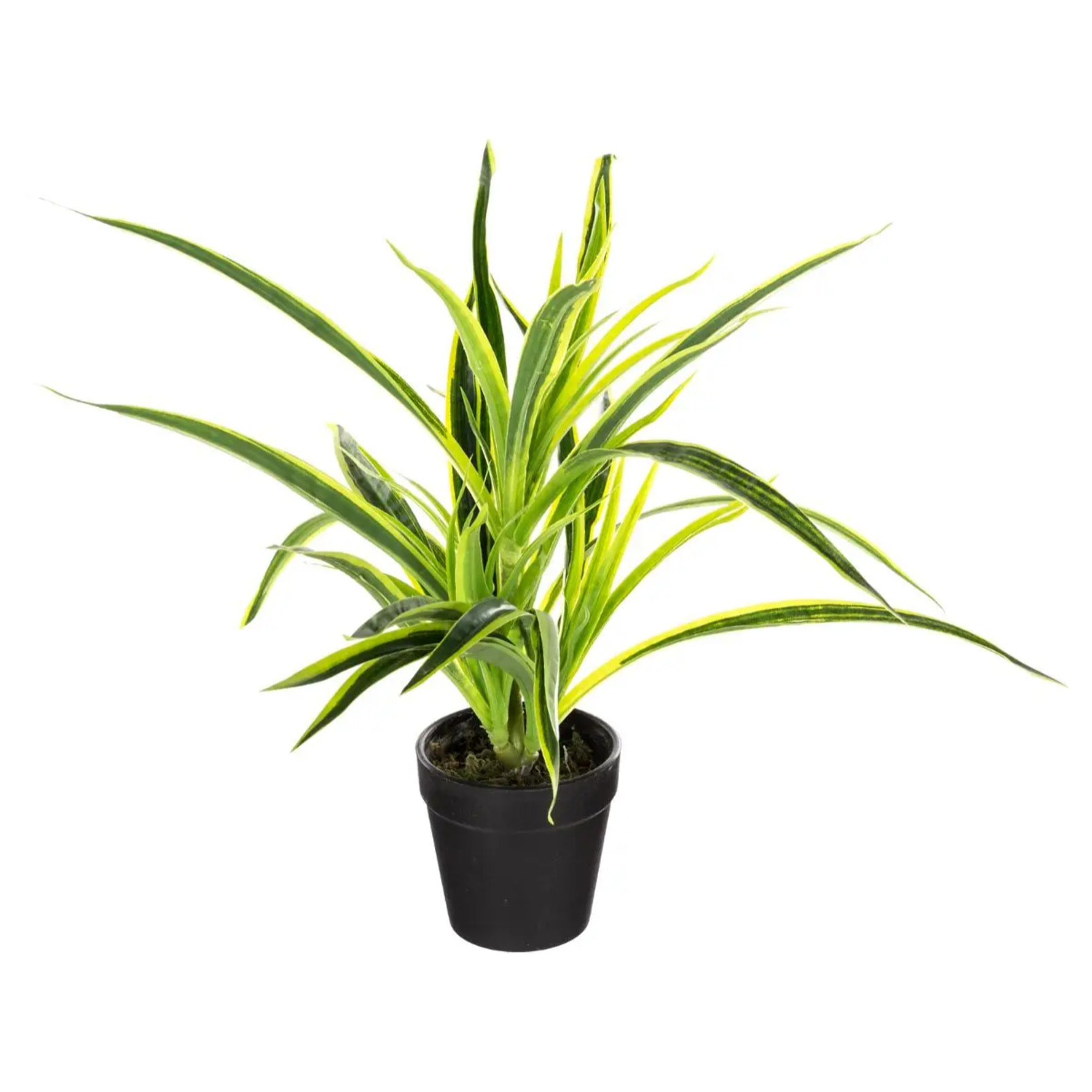 Plante artificielle - pot en ciment - H30 cm