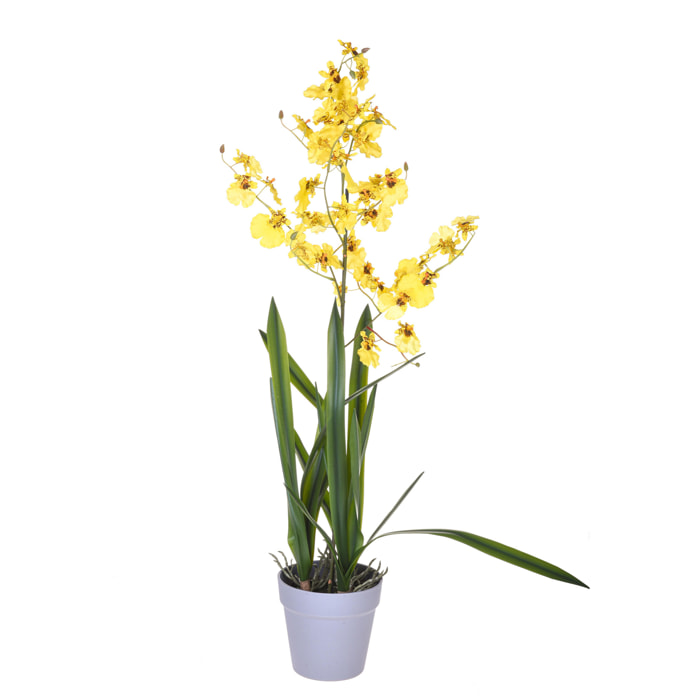 Orchidea Oncidium Con Vaso. Altezza 40 Cm - Pezzi 1 - 16X40X14cm - Colore: Giallo - Bianchi Dino - Piante Artificiali