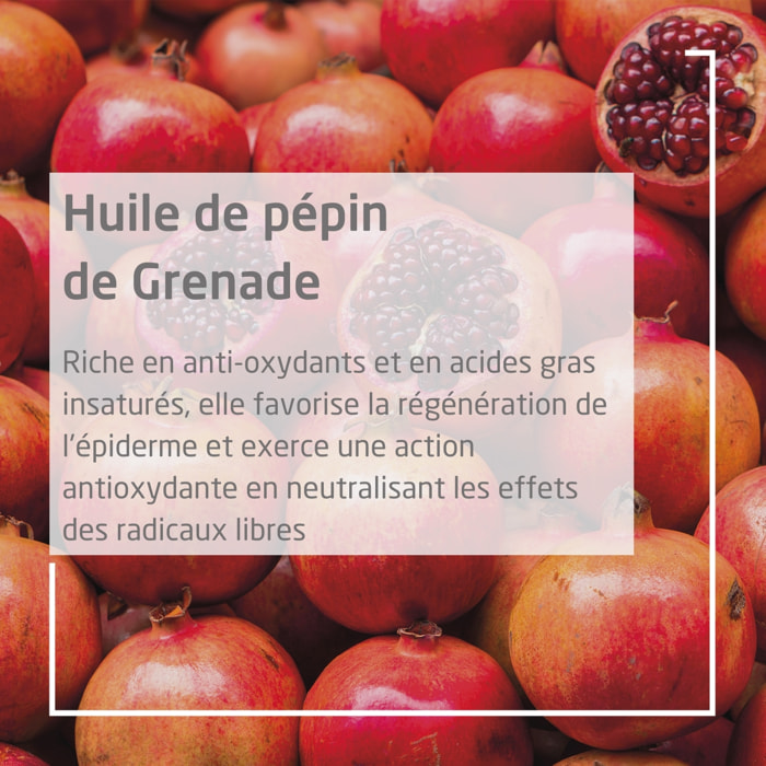 WELEDA - Duo Crème Mains antioxydante à la Grenade - Active le renouvellement cellulaire, action anti-oxydante - Vegan*- Certifié Natrue**- Tube 50 ml  x 2