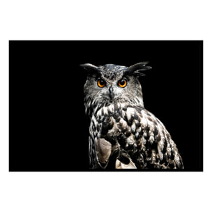 Affiche encadrée canard graphique Affiche + cadre en métal - Noir