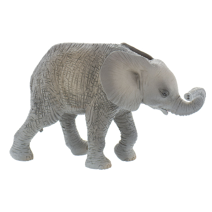 Safari/Piccolo di Elefante Africano